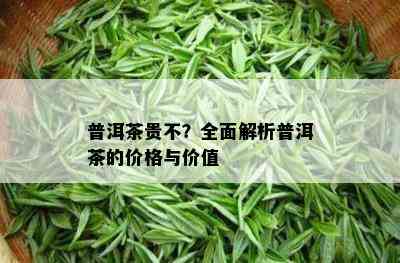 普洱茶贵不？全面解析普洱茶的价格与价值