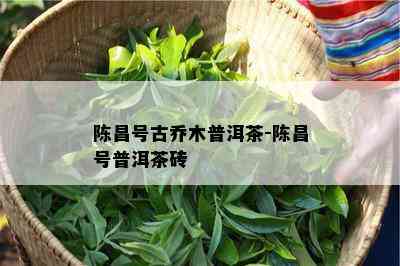 陈昌号古乔木普洱茶-陈昌号普洱茶砖