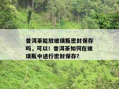 普洱茶能放玻璃瓶密封保存吗，可以！普洱茶怎样在玻璃瓶中实施密封保存？