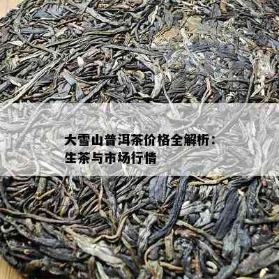 大雪山普洱茶价格全解析：生茶与市场行情