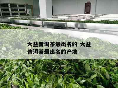 大益普洱茶最出名的-大益普洱茶最出名的产地