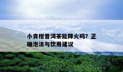 小青柑普洱茶能降火吗？正确泡法与饮用建议