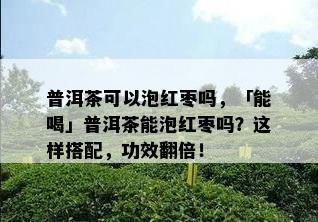 普洱茶可以泡红枣吗，「能喝」普洱茶能泡红枣吗？这样搭配，功效翻倍！