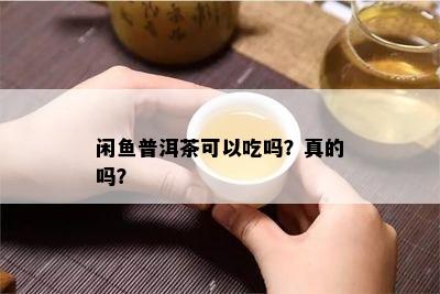 闲普洱茶可以吃吗？真的吗？