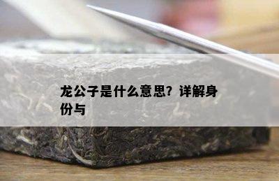 龙公子是什么意思？详解身份与