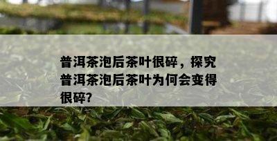 普洱茶泡后茶叶很碎，探究普洱茶泡后茶叶为何会变得很碎？