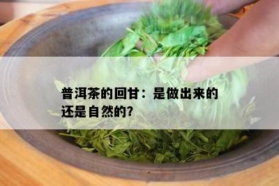 普洱茶的回甘：是做出来的还是自然的？