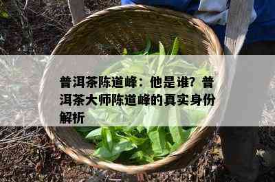 普洱茶陈道峰：他是谁？普洱茶大师陈道峰的真实身份解析