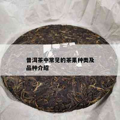 普洱茶中常见的茶果种类及品种介绍