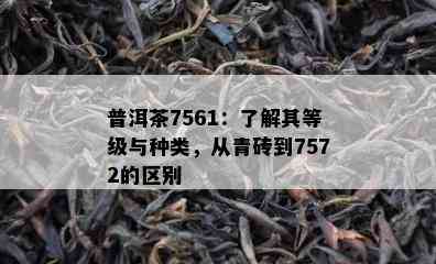 普洱茶7561：熟悉其等级与种类，从青砖到7572的区别