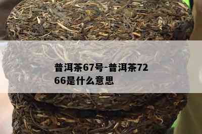 普洱茶67号-普洱茶7266是什么意思