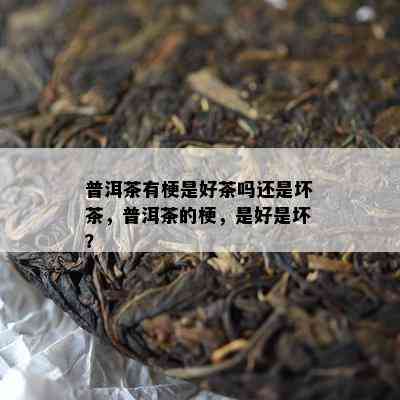 普洱茶有梗是好茶吗还是坏茶，普洱茶的梗，是好是坏？