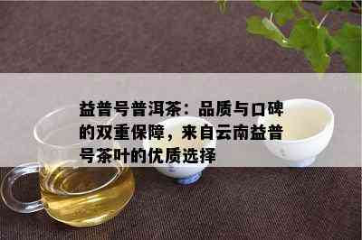 益普号普洱茶：品质与口碑的双重保障，来自云南益普号茶叶的优质选择