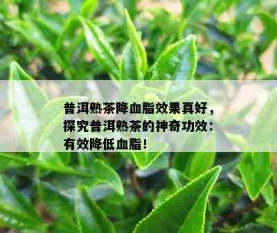 普洱熟茶降血脂效果真好，探究普洱熟茶的神奇功效：有效减少血脂！