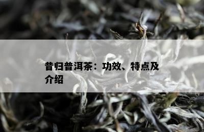 昔归普洱茶：功效、特点及介绍