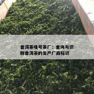 普洱茶唛号茶厂：查询与识别普洱茶的生产厂商标识