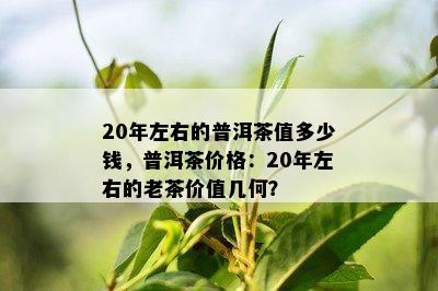 20年左右的普洱茶值多少钱，普洱茶价格：20年左右的老茶价值几何？