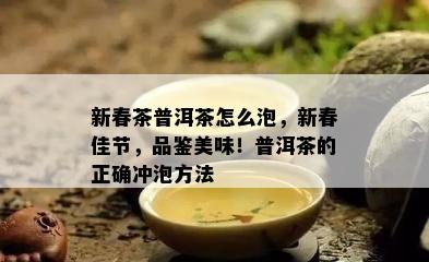 新春茶普洱茶怎么泡，新春佳节，品鉴美味！普洱茶的正确冲泡方法