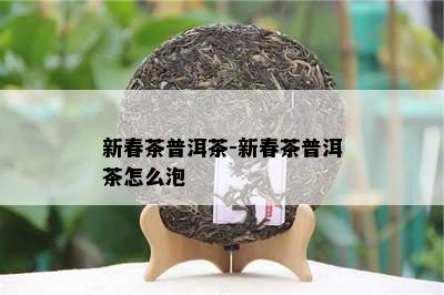 新春茶普洱茶-新春茶普洱茶怎么泡