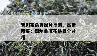 普洱茶杀青图片高清，高清图集：揭秘普洱茶杀青全过程