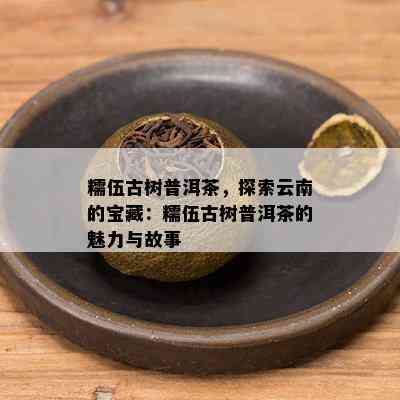 糯伍古树普洱茶，探索云南的宝藏：糯伍古树普洱茶的魅力与故事