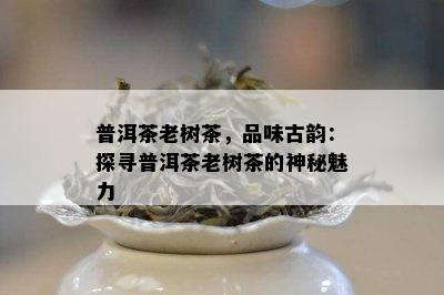 普洱茶老树茶，品味古韵：探寻普洱茶老树茶的神秘魅力