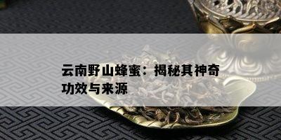 云南野山蜂蜜：揭秘其神奇功效与来源