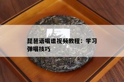 琵琶语唱谱视频教程：学习弹唱技巧