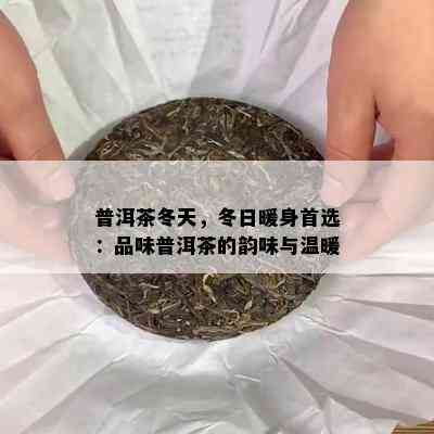 普洱茶冬天，冬日暖身首选：品味普洱茶的韵味与温暖