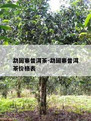 勐固寨普洱茶-勐固寨普洱茶价格表