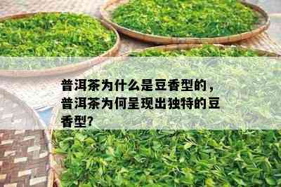 普洱茶为什么是豆香型的，普洱茶为何呈现出特别的豆香型？