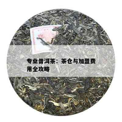 专业普洱茶：茶仓与加盟费用全攻略