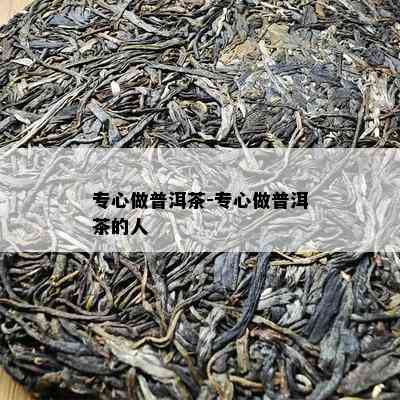 专心做普洱茶-专心做普洱茶的人