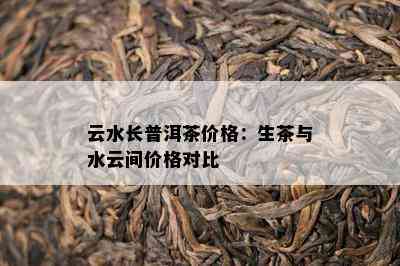 云水长普洱茶价格：生茶与水云间价格对比