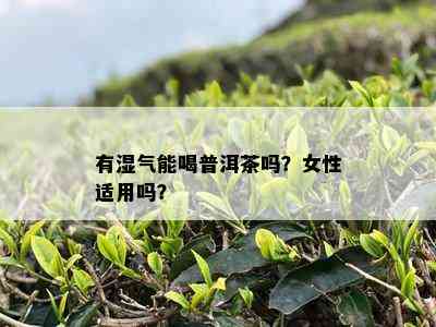 有湿气能喝普洱茶吗？女性适用吗？