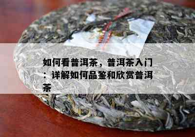 怎样看普洱茶，普洱茶入门：详解怎样品鉴和欣赏普洱茶