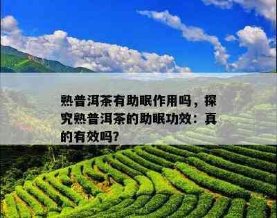 熟普洱茶有助眠作用吗，探究熟普洱茶的助眠功效：真的有效吗？