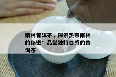 雨林普洱茶，探索热带雨林的秘密：品尝独特口感的普洱茶