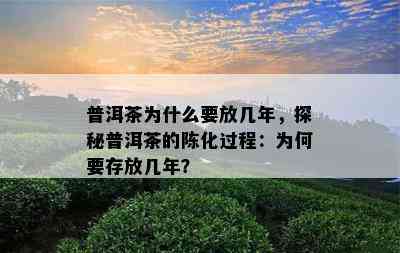 普洱茶为什么要放几年，探秘普洱茶的陈化过程：为何要存放几年？