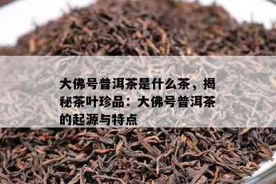 大佛号普洱茶是什么茶，揭秘茶叶珍品：大佛号普洱茶的起源与特点