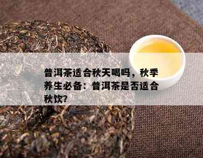 普洱茶适合秋天喝吗，秋季养生必备：普洱茶是不是适合秋饮？