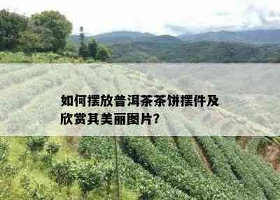 如何摆放普洱茶茶饼摆件及欣赏其美丽图片？