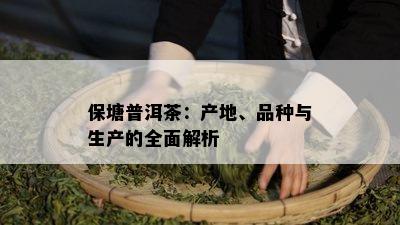 保塘普洱茶：产地、品种与生产的全面解析