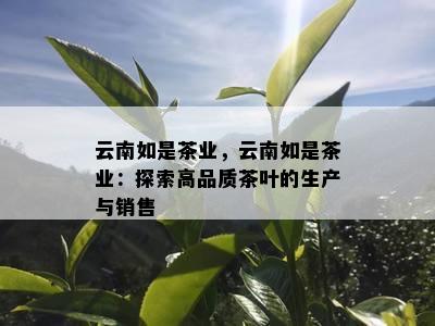 云南如是茶业，云南如是茶业：探索高品质茶叶的生产与销售