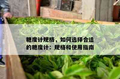 糖度计规格，怎样选择合适的糖度计：规格和采用指南