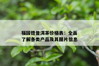 福园德普洱茶价格表：全面了解各类产品及其图片信息