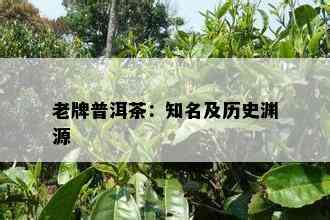 老牌普洱茶：知名及历史渊源