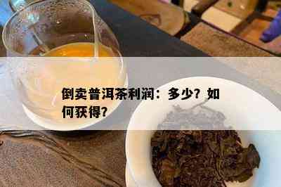 倒卖普洱茶利润：多少？如何获得？