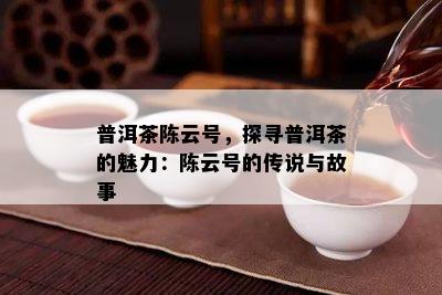 普洱茶陈云号，探寻普洱茶的魅力：陈云号的传说与故事