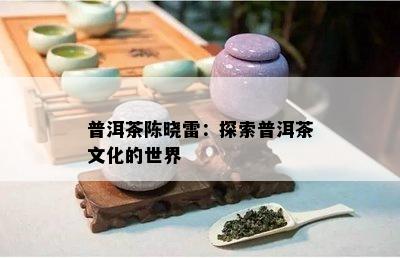 普洱茶陈晓雷：探索普洱茶文化的世界